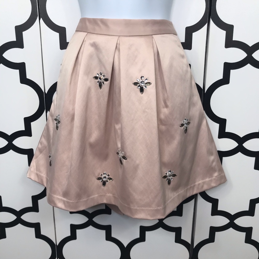 NWT The Limited Pink Skirt